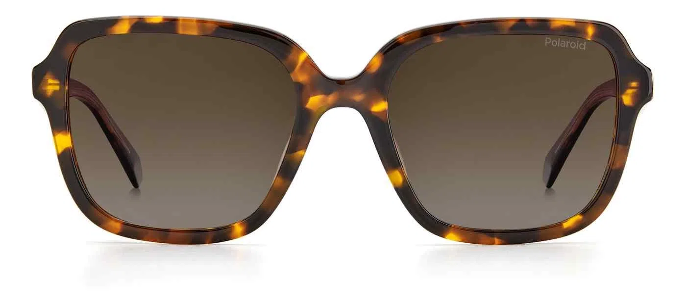 Polaroid Core Polaroid4095 Sunglasses - view 11